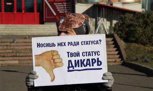 Смолян попросят защитить животных Смолян попросят защитить животных