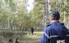 Заблудившегося в смоленском лесу инвалида нашли живым и невредимым Заблудившегося в смоленском лесу инвалида нашли живым и невредимым