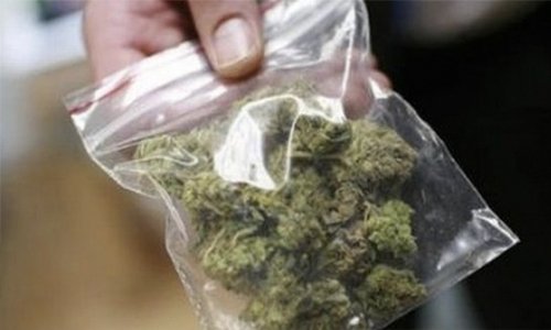 Оперативники нашли в машине жителя Смоленска партию марихуаны Оперативники нашли в машине жителя Смоленска партию марихуаны