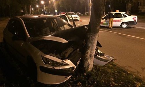 На улице Румянцева в Смоленске иномарка врезалась в дерево На улице Румянцева в Смоленске иномарка врезалась в дерево