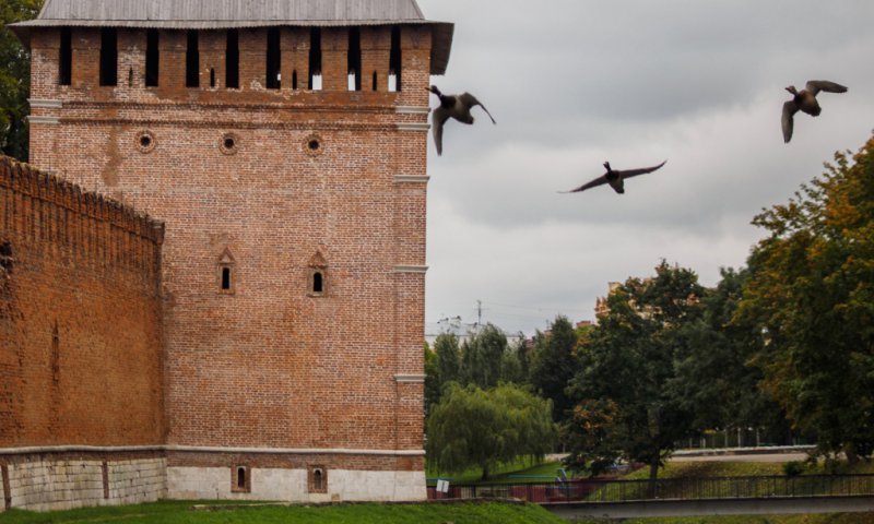 В Смоленске наступила осень (ФОТО) В Смоленске наступила осень (ФОТО)