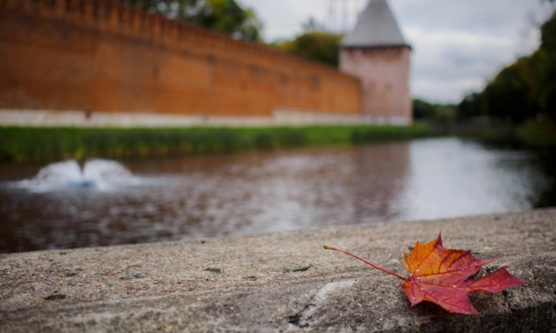 В Смоленске наступила осень (ФОТО) В Смоленске наступила осень (ФОТО)