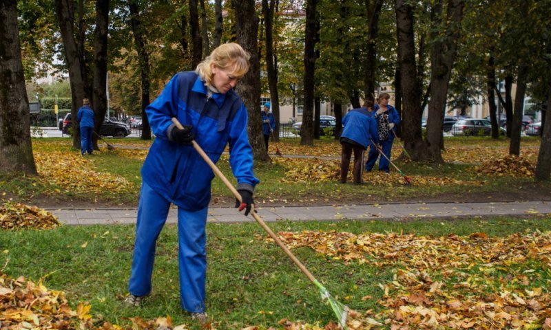 В Смоленске наступила осень (ФОТО) В Смоленске наступила осень (ФОТО)