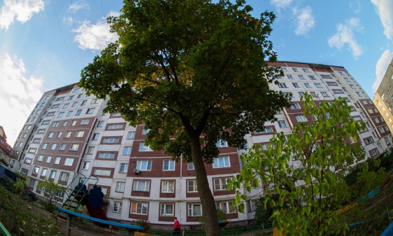 В Смоленске наступила осень (ФОТО) В Смоленске наступила осень (ФОТО)