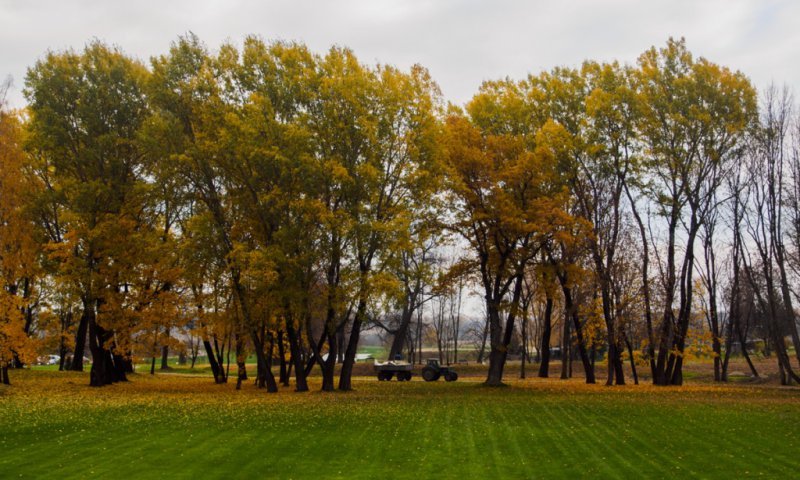 В Смоленске наступила осень (ФОТО) В Смоленске наступила осень (ФОТО)