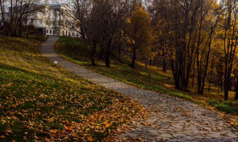 В Смоленске наступила осень (ФОТО) В Смоленске наступила осень (ФОТО)
