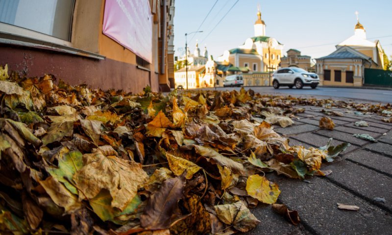 В Смоленске наступила осень (ФОТО) В Смоленске наступила осень (ФОТО)