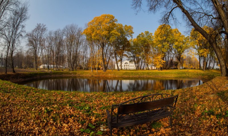 В Смоленске наступила осень (ФОТО) В Смоленске наступила осень (ФОТО)