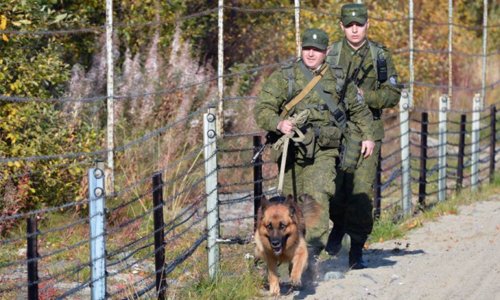 Пограничники всё чаще задерживают нелегалов в Смоленской области Пограничники всё чаще задерживают нелегалов в Смоленской области