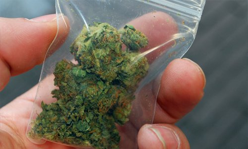 Житель Смоленской области хранил в диване марихуану Житель Смоленской области хранил в диване марихуану