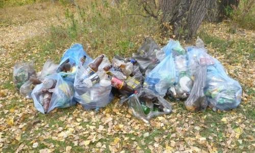 Жителей Смоленска призвали присоединиться к акции «Чистый берег» Жителей Смоленска призвали присоединиться к акции «Чистый берег»