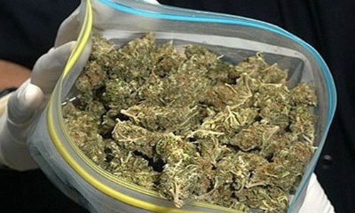 Стражи порядка нашли у жителя Вязьмы 4 килограмма марихуаны Стражи порядка нашли у жителя Вязьмы 4 килограмма марихуаны