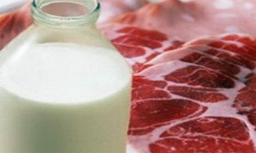 Производство мяса и молока в Смоленской области снизилось Производство мяса и молока в Смоленской области снизилось