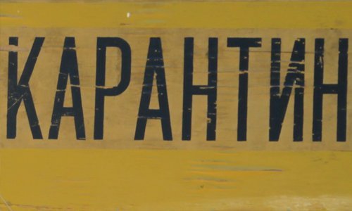 В Вяземском районе введён карантин по бешенству В Вяземском районе введён карантин по бешенству