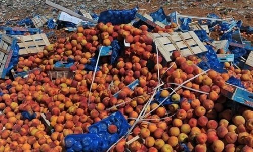 Шесть фур с санкционными продуктами задержали в Смоленской области Шесть фур с санкционными продуктами задержали в Смоленской области