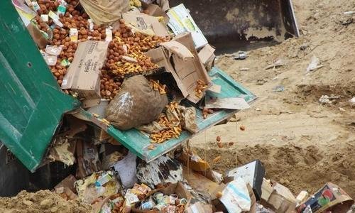 Под Смоленском уничтожили более 200 тонн контрабандных продуктов Под Смоленском уничтожили более 200 тонн контрабандных продуктов