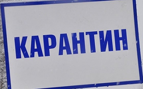 Из-за гриппа в Смоленске снова продлили карантин для школьников Из-за гриппа в Смоленске снова продлили карантин для школьников