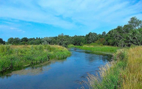 Из водоема у деревни Холмец извлекли тело 18-летнего парня