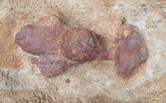 На Гнездовских курганах археологи обнаружили старинный меч
