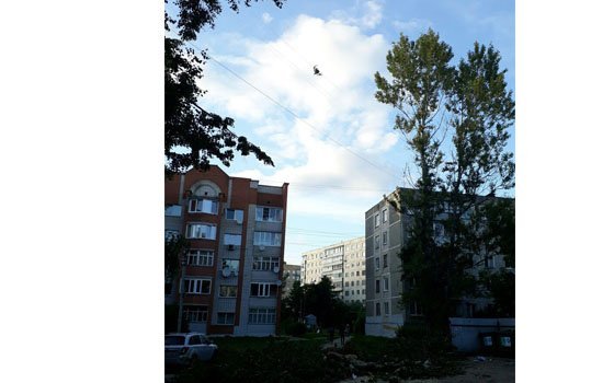 По улице Кирова в Смоленске на проводах повис пень