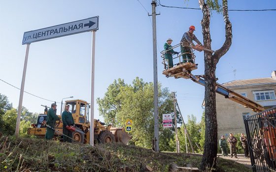 В Смоленске сносят сухие деревья у школ и детских садов