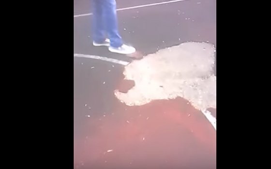 В Десногорске сняли на видео стадион из «туалетной бумаги»