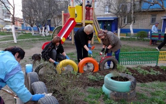 Инициатива поощряема. С опорой на власть активисты добиваются многого