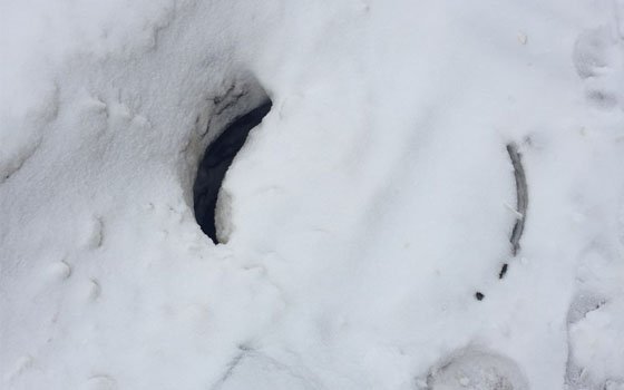 «Сюрприз» под снегом. В Смоленске прямо у главпочты открыт люк