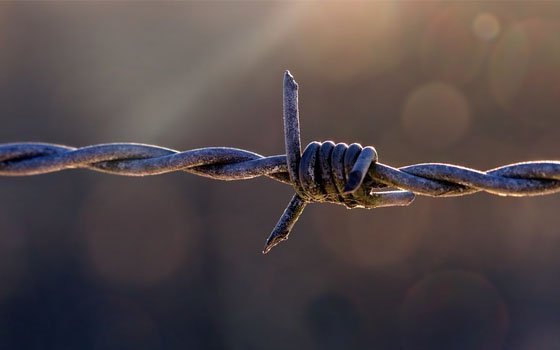 Смолянин, осужденный за кражи и грабежи, едва не сбежал из СИЗО №1