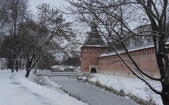 В руководстве Лопатинского сада просят соблюдать в парке правила безопасности
