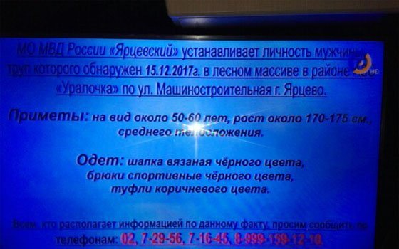 В Ярцеве в лесном массиве обнаружили труп мужчины