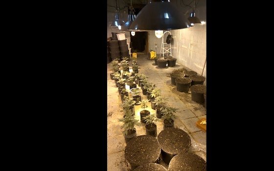 За организацию нарколаборатории двоим смолянам грозит срок