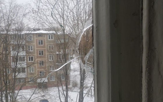 Накануне 8 Марта неизвестные стреляли в окно смолянке