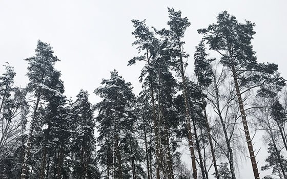 Смоленщина готова к пожароопасному сезону
