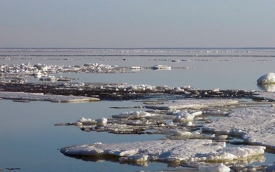 В Ярцеве в ледяной воде едва не утонул мужчина
