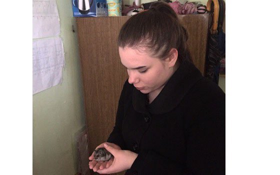 Смоленский хомяк-брошенка приобрел новую хозяйку