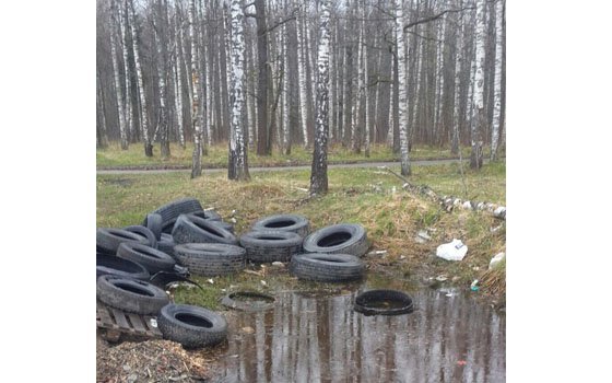 Участок леса в районе деревни Гусино превратился в свалку