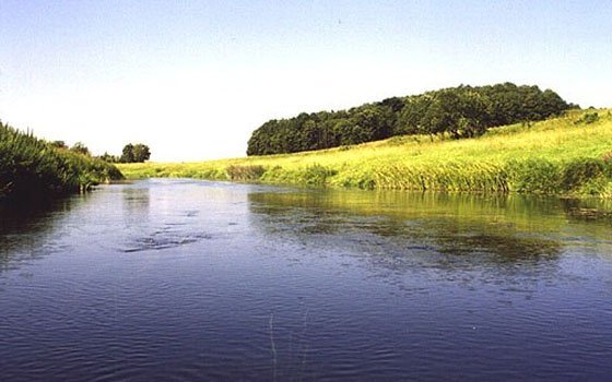 Женщина утонула в водоеме Вяземского района