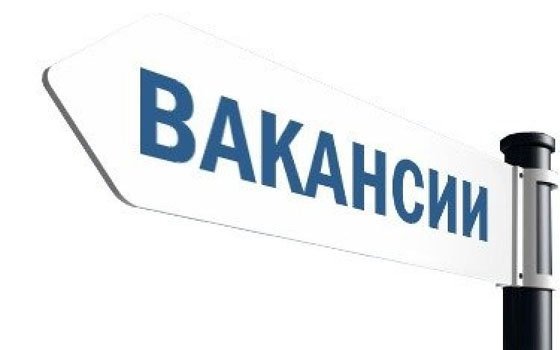 В Смоленске появились вакансии врача, водителя и водолаза