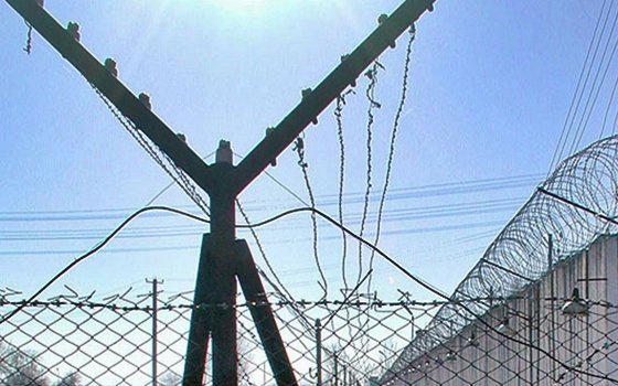В деревне Вадино из колонии-поселения пытались сбежать двое узников