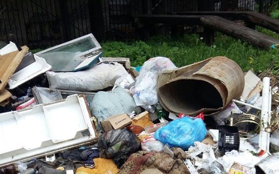 В Смоленске жители улицы Папанина не могут донести мусор до контейнера