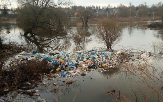 «Общественный контроль изменил город к лучшему». Свалку в Вязьме убирают