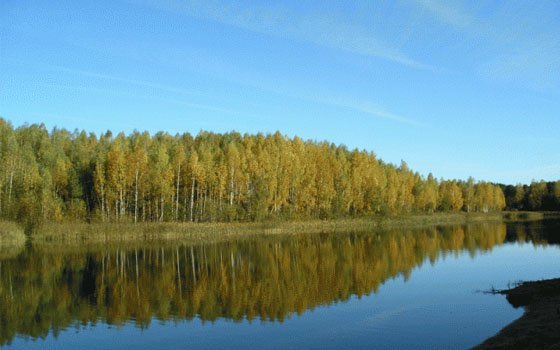 Пляжный сезон стартует в Смоленске