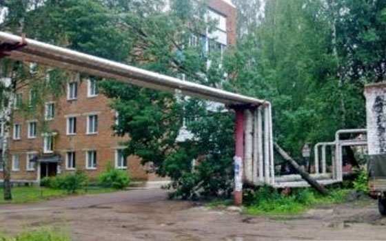Дерево упало на трубы теплотрассы в Рославле
