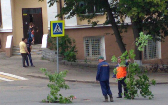 Смоленских водителей о выбоинах на дороге предупреждают ветками