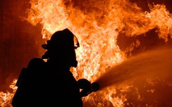Женщина заживо сгорела на пожаре в деревне Малое Токарево
