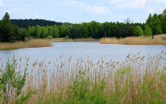 В реке Остер утонула рославльчанка