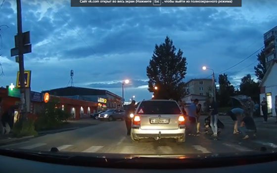 Иномарка Volkswagen Passat сбила собаку на Сортировке в Смоленске
