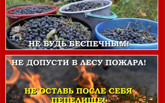 Не оставьте после себя пепелище!