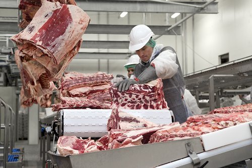 «Мираторг» планирует увеличить поголовье мясного КРС в Смоленской области в 1,5 раза - до 63,7 тысяч голов